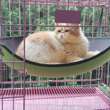 Горячая распродажа кошка/котенок собака/щенок Pet кровать лежак клетка гамак качели кровать домашнее животное для кошка
